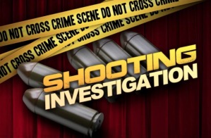 Orleans Gardens Apartments Shooting, Charleston, SC, Leaves One Man Injured.