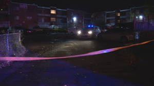 Reginald Cooper and Davonte Berkley Fatally Injured in Washington D.C. Apartment Complex Shooting; One Other Wounded.