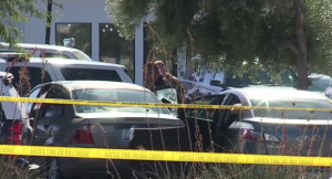 Antoinette Leotta Fatally Injured in Mesa, AZ Shopping Center Parking Lot Shooting; Son Wounded.