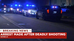 Ronnie Cobb: Security Negligence? Fatally Injured in Seneca, SC Apartment Complex Shooting.